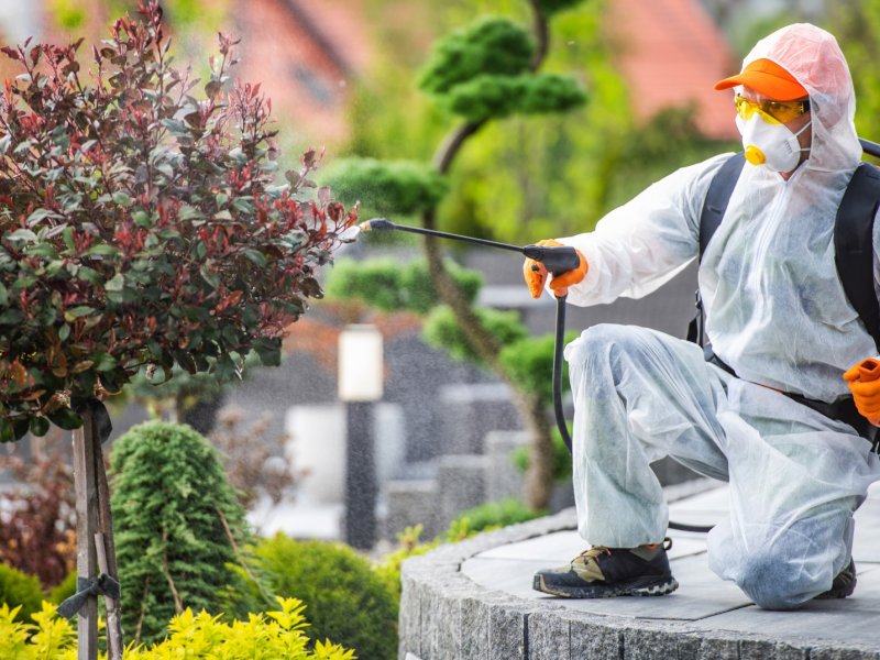 Gölmarmara Haşere İlaçlama